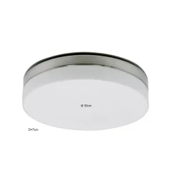 Badkamer plafonnière staal met wit glas