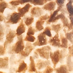 Beach tafellamp schelpen bol woonkamer