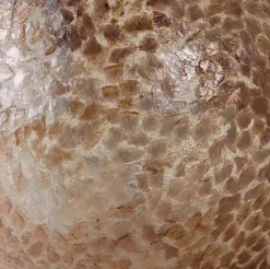 Beach tafellamp schelpen bol woonkamer