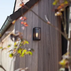 Buitenlantaarn rechthoek zwart/helder glas IP44