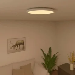 Calex Smart Halo plafondlamp 29 cm