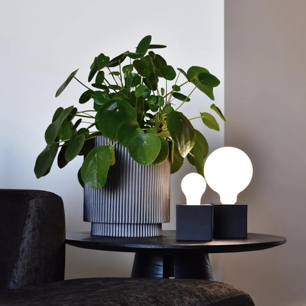 Calex Smart Home E27 LED filament softline Globe G125