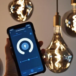 Calex Smart LED Globe G200 Titanium