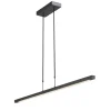 Design hanglamp LED zwart dimbaar