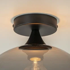 Globe plafondlamp zwart met smoke/titanium glas 30 cm