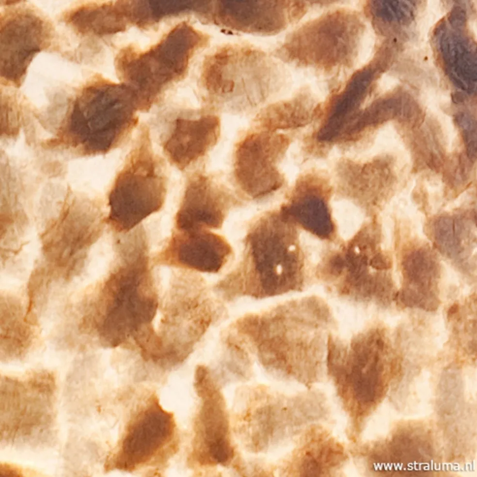 Grote schelpen hanglamp bruin goud