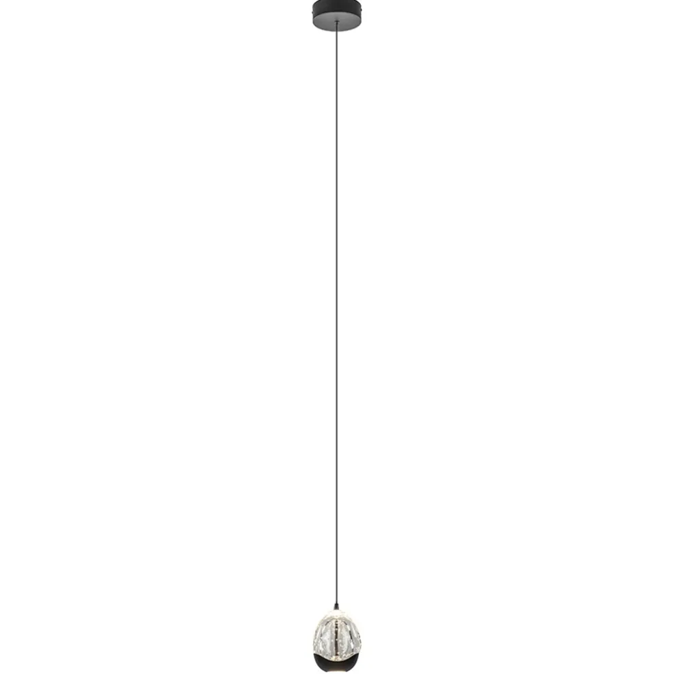 Hanglamp Black Egg 1L zwart/helder glas
