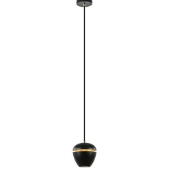 Hanglamp Claire 1L zwart/matgoud