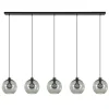Hanglamp 5L balk + smoke glas 160cm