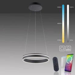 Hanglamp Q-Vito 40 zwart + afst.bed.CCT