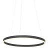 Hanglamp Ringlux zwart