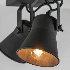 Industriële 2-lichts plafondspot mat zwart