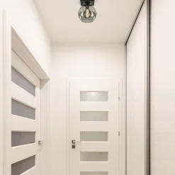 Kleine plafondlamp zwart met smoke glas 20 cm