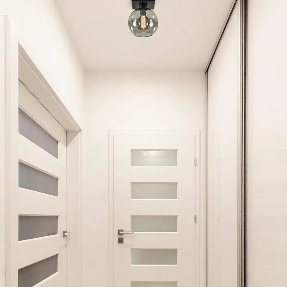 Kleine plafondlamp zwart met smoke glas 20 cm