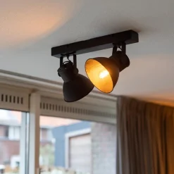 2-Lichts metalen plafondlamp Eliano mat zwart