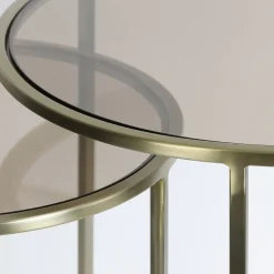 Light and Living bijzettafel Duarte set van 2 goud met bruin glas