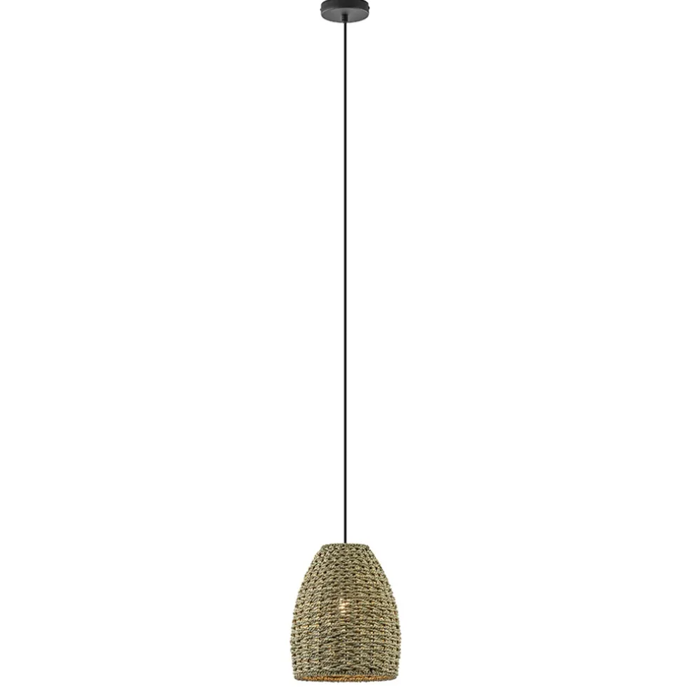 Mat zwarte hanglamp met touw