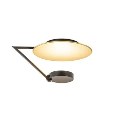 Mat zwarte LED plafondlamp met goud