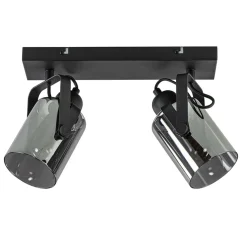 Mat zwarte 2-lichts plafondlamp met smoke glas