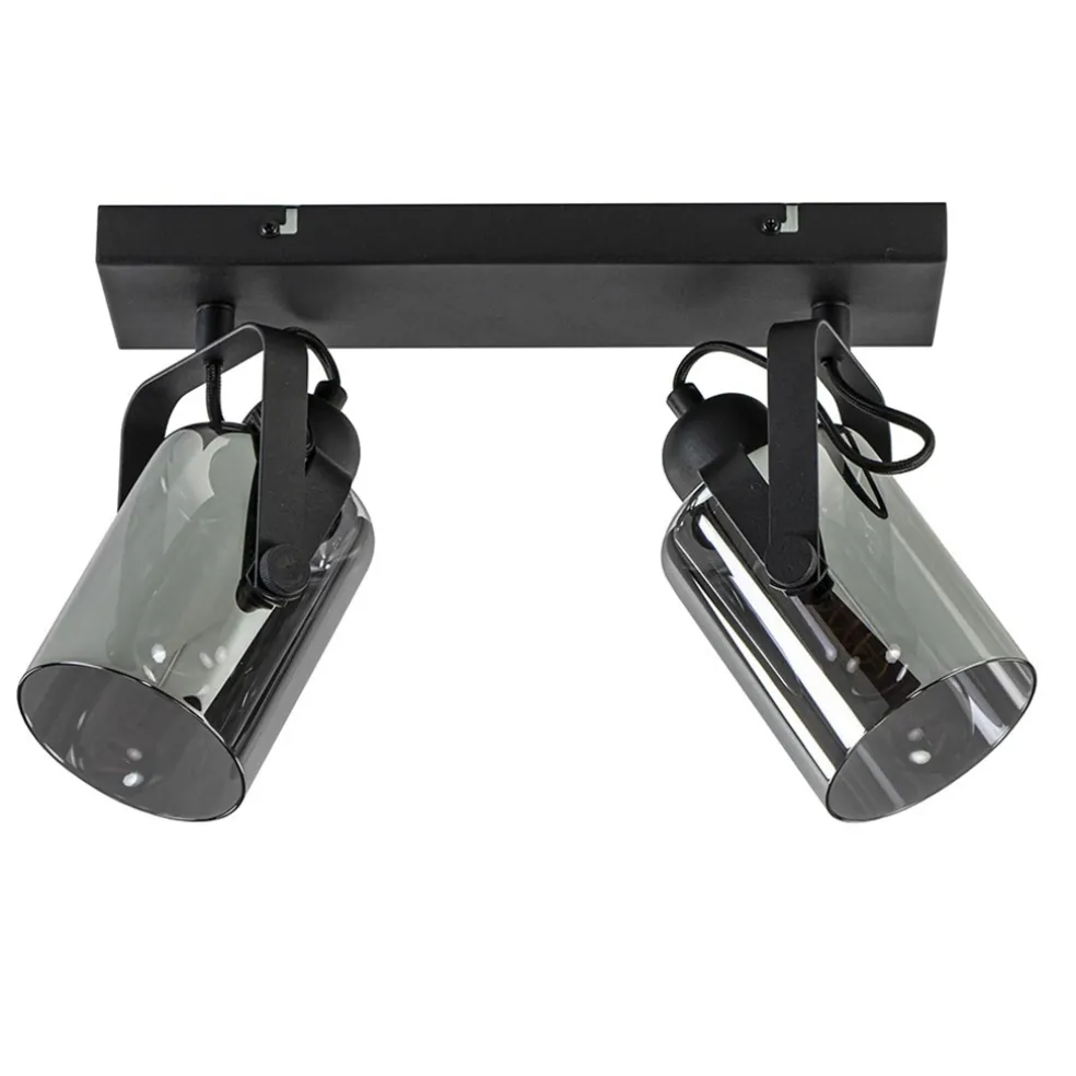 Mat zwarte 2-lichts plafondlamp met smoke glas