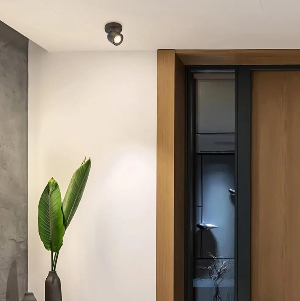 Mat zwarte opbouwspot 1-lichts verstelbaar