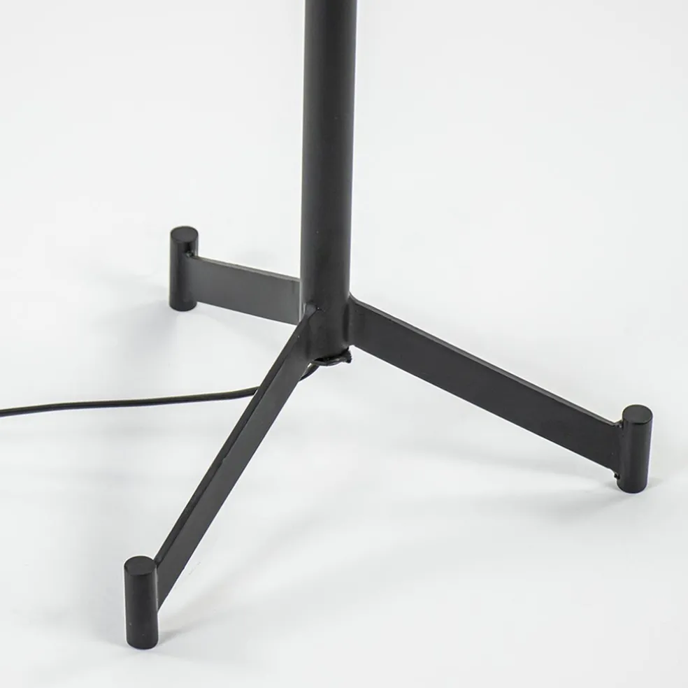 Mat zwarte vloerlamp Dennis Light & Living