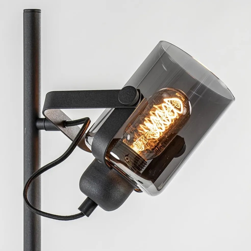 Mat zwarte vloerlamp met smoke/titanium glas