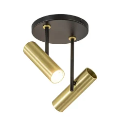 Opbouwspot 2-lichts rond zwart/brass verstelbaar