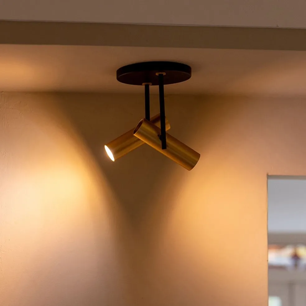 Opbouwspot 2-lichts rond zwart/brass verstelbaar