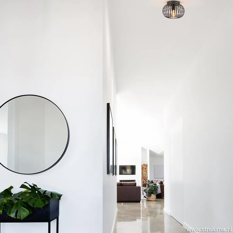 Plafondlamp donut klein draad zwart 25cm