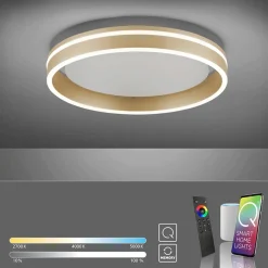 Plafondlamp Q-Vito 40cm matgoud smart + remote