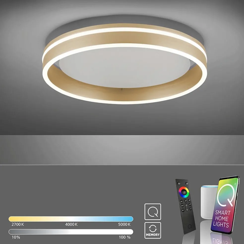 Plafondlamp Q-Vito 40cm matgoud smart + remote
