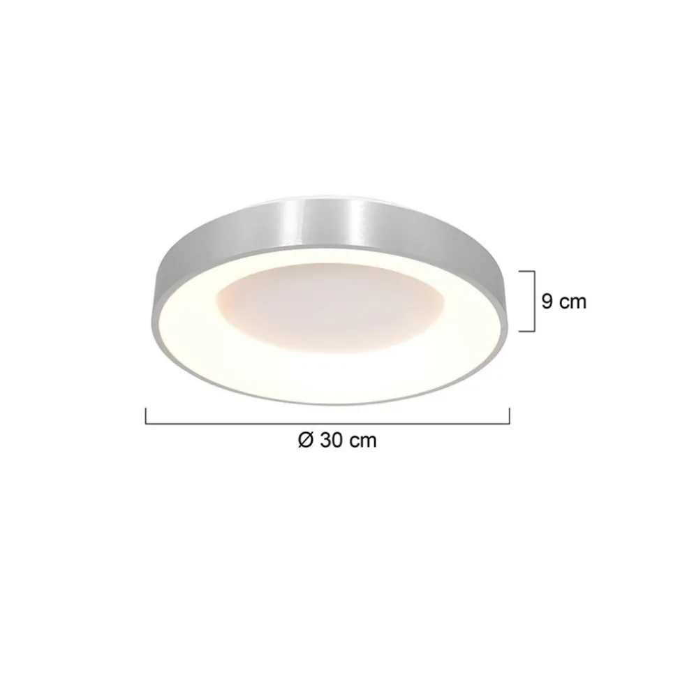 Plafondlamp Ringlede 30cm rvs led