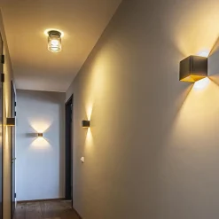 Plafondlamp Salerno zwart/smoke glas