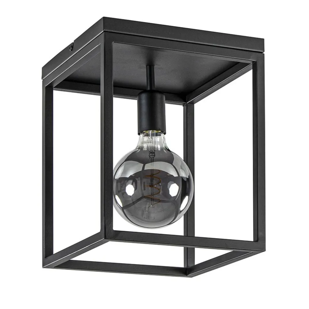 Plafondlamp zwart open frame