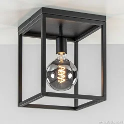 Plafondlamp zwart open frame