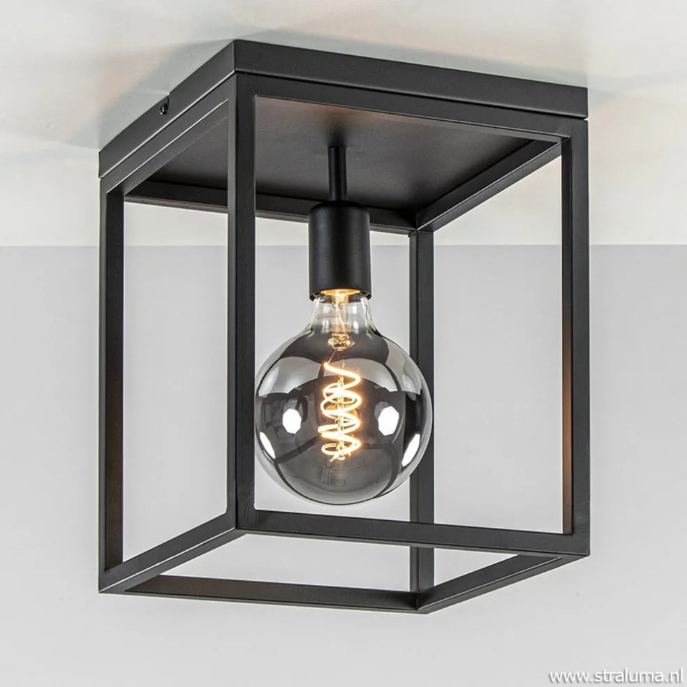 Plafondlamp zwart open frame