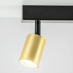 Plafondspot Bounce 2L 40cm zwart/matgoud