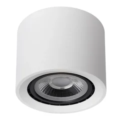 Plafondspot cilinder wit dim to warm