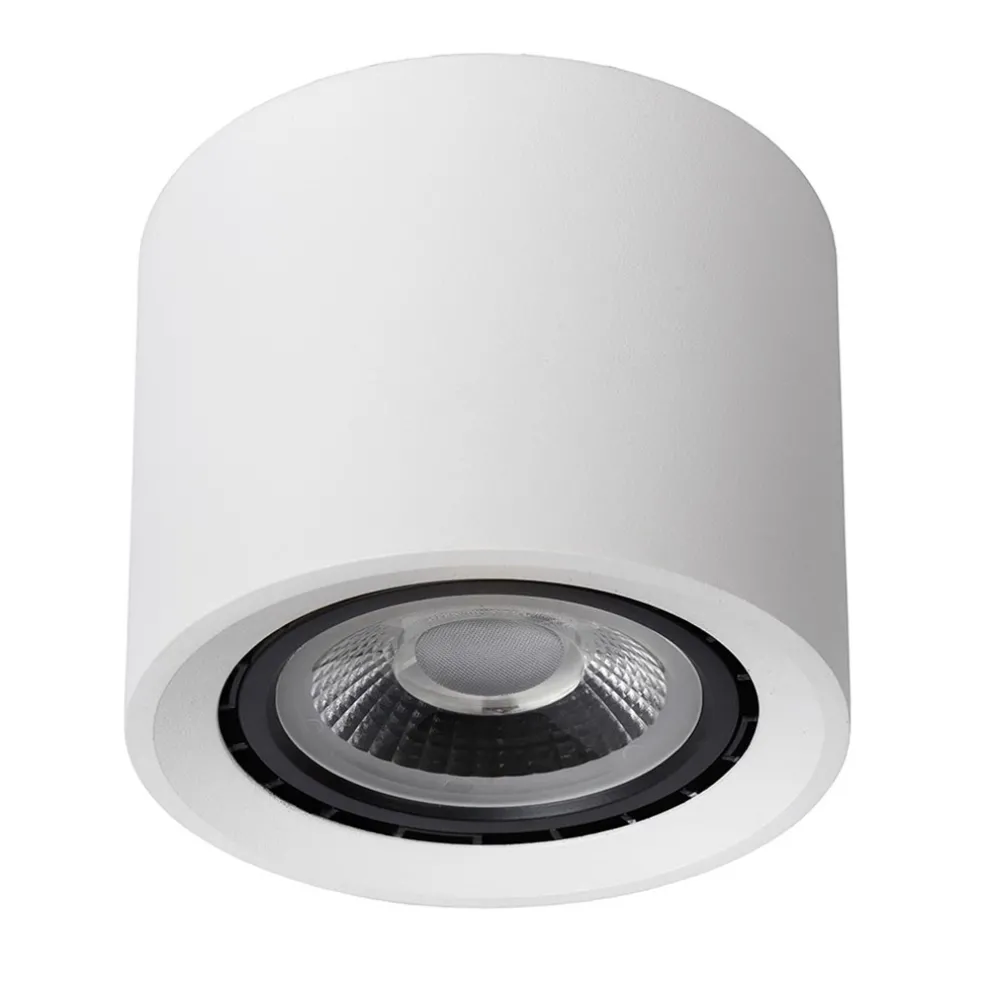 Plafondspot cilinder wit dim to warm