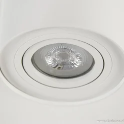 *Plafondspot cilinder wit verstelbaar