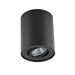 *Plafondspot cilinder zwart verstelbaar