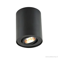 *Plafondspot cilinder zwart verstelbaar