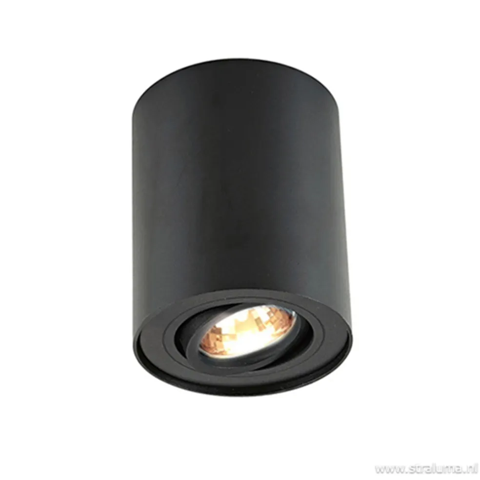 *Plafondspot cilinder zwart verstelbaar