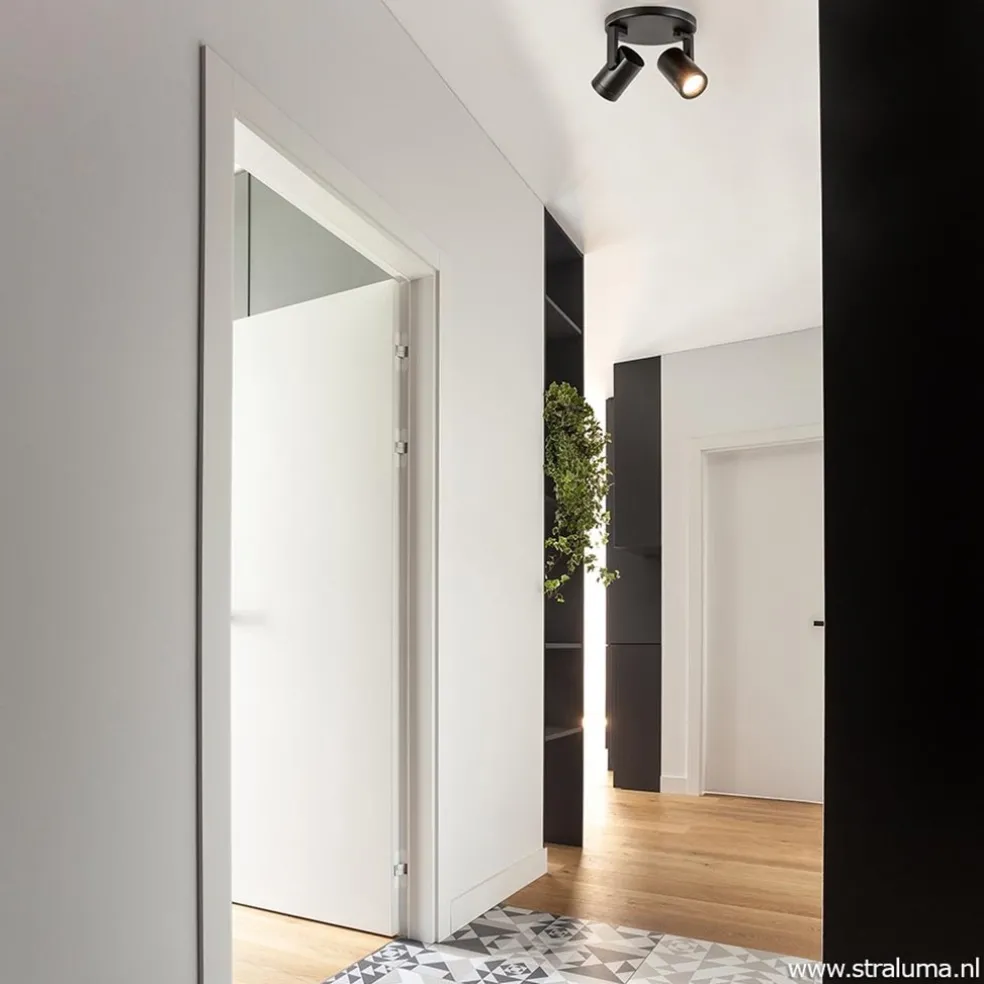 Plafondspot Halo Spot 2L rond zwart