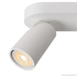 Plafondspot 2L wit incl.gu10 dtw