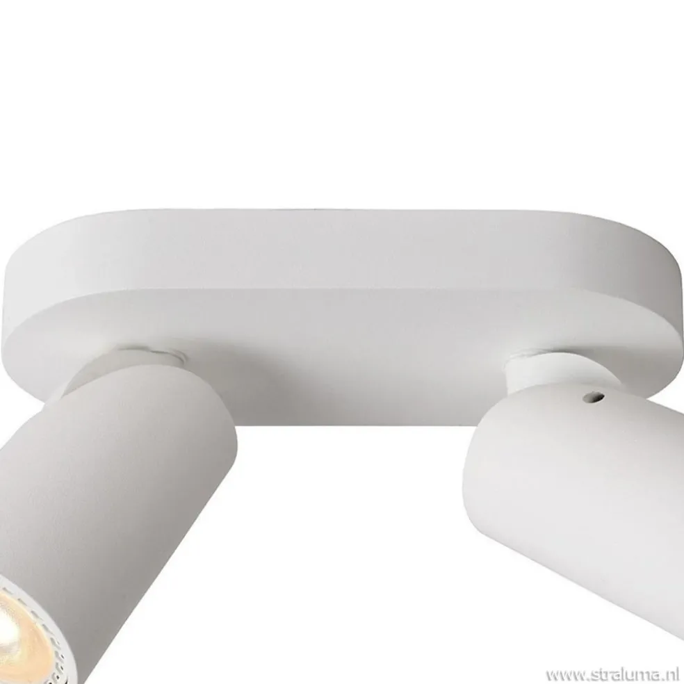 Plafondspot 2L wit incl.gu10 dtw