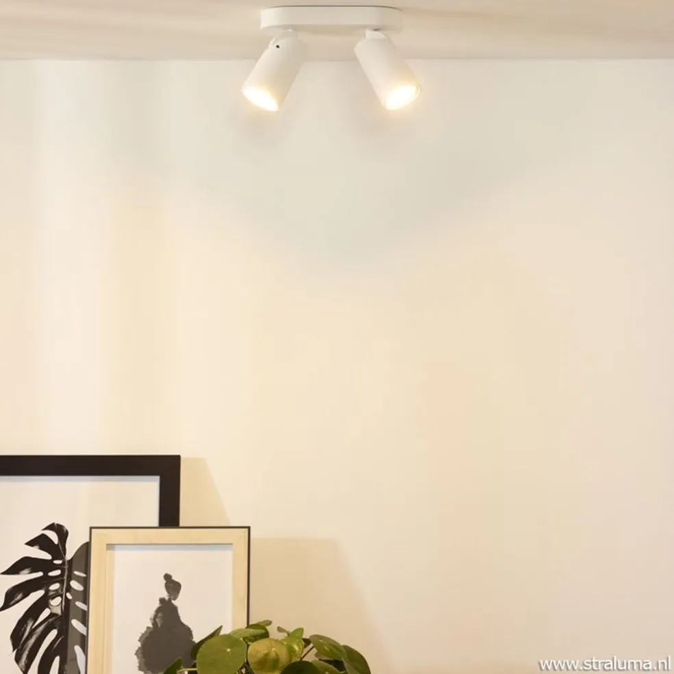 Plafondspot 2L wit incl.gu10 dtw