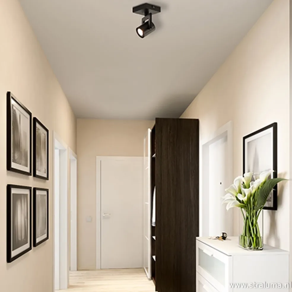 Plafondspot 1L zwart incl.gu10