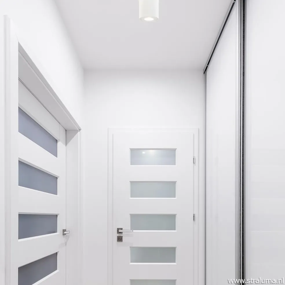 Plafondspot Maxi Rebel wit gu10 IP44